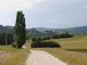 Location de particuliers � particuliers Gite � la campagne au coeur des champs de lavande Location saisonni�re Vaucluse photo 2