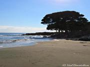 Location de particuliers � particuliers Appartement La Paghlella**, piscines, mer � 800 m  Location saisonni�re Haute Corse photo 13