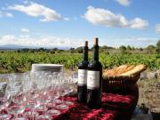 Location de particuliers � particuliers Villa Limonade, au c�ur du Minervois et de son vignoble, maison d'h�tes 4 �pis Chambres d'hotes H�rault photo 13