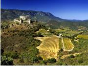 Location de particuliers � particuliers Villa Limonade, au c�ur du Minervois et de son vignoble, maison d'h�tes 4 �pis Chambres d'hotes H�rault photo 14