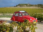 Location de particuliers � particuliers Villa Limonade, au c�ur du Minervois et de son vignoble, maison d'h�tes 4 �pis Chambres d'hotes H�rault photo 15