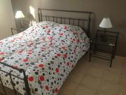 Location de particuliers � particuliers 2 G�tes dans un parc de plus de 200 animaux G�te Vaucluse photo 13