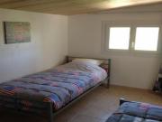 Location de particuliers � particuliers 2 G�tes dans un parc de plus de 200 animaux G�te Vaucluse photo 6