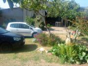 Location de particuliers � particuliers La campagne � 3 mn de la plage ! Location saisonni�re Corse du Sud photo 11