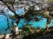 Location de particuliers � particuliers La campagne � 3 mn de la plage ! Location saisonni�re Corse du Sud photo 12