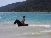 Location de particuliers � particuliers G�te/chambre d'hotes avec piscine proche Verdon Chambres d'hotes Var photo 15