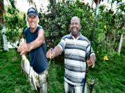 Location de particuliers � particuliers Locations � Marie Galante : studios, chambres � Capesterre Chambres d'hotes Guadeloupe photo 3