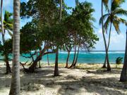 Location de particuliers � particuliers Locations � Marie Galante : studios, chambres � Capesterre Chambres d'hotes Guadeloupe photo 7
