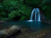 Location de particuliers � particuliers Logement avec piscine  Location saisonni�re Guadeloupe photo 14