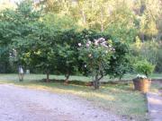 Location de particuliers � particuliers Gite de Candela Luc sur Aude , Couiza , Esp�raza G�te Aude photo 15