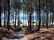 Location de particuliers � particuliers Landes siblu la r�serve Location de vacances, VVF 4 �toiles Camping / Mobile-home Landes photo 7