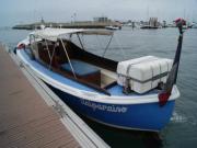 Location de particuliers � particuliers Vacances Bassin d'Arcachon Location saisonni�re Gironde photo 8