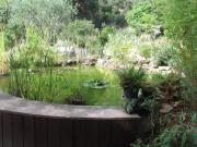 Location de particuliers � particuliers CODJAV en provence verte, en pleine nature pres de Puget-Ville Location saisonni�re Var photo 3