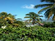 Location de particuliers � particuliers SEJOUR EVASION  SEJOUR ROOTS Location insolite Martinique photo 4