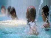 Location de particuliers � particuliers Location vacances La Roche Posay du T1 au T4 � 100m des Thermes du Conn�table - Terres de France Appart Hotel La Roche-Posay (officiel) H�tel Vienne photo 5