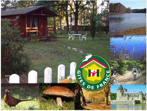 Location de particuliers � particuliers Le Chalet du Gros Caillou en Sologne et Berry Chalet Cher