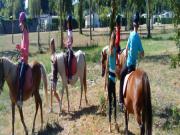 Location de particuliers � particuliers Beau MOBILHOME NEUF 6/8 personnes LA PALMYRE LES CHARMETTES 4* Camping / Mobile-home Charente maritime photo 11