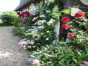 Location de particuliers � particuliers GITE HAVRE DE PAIX BIEN ETRE G�te Eure photo 10