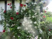 Location de particuliers � particuliers GITE HAVRE DE PAIX BIEN ETRE G�te Eure photo 9