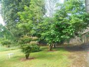 Location de particuliers � particuliers Maison proche de Monpazier  G�te Dordogne photo 11