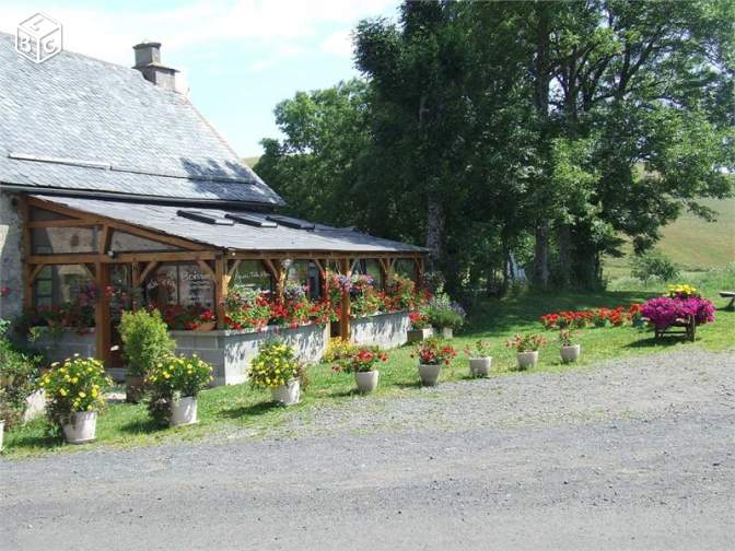 Location de particuliers � particuliers Chambres d'h�tes et chalets au LAC DES ESTIVES, Parc des Volcans en Haute Auvergne Chalet Cantal