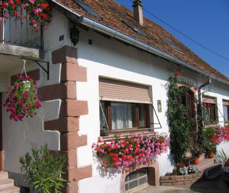 Location de particuliers � particuliers Les floralies, 30 mn Strasbourg, 20 mn Colmar G�te Bas Rhin