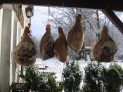 Location de particuliers � particuliers La croix Messire Jean , hauteurs du massif d'Uchon H�tel Sa�ne et Loire photo 7