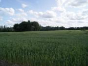 Location de particuliers � particuliers G�te la Charolaise, � proximit� de Lille, Lens, Douai  G�te Nord photo 11