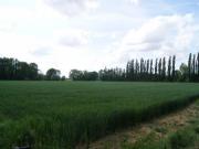 Location de particuliers � particuliers G�te la Charolaise, � proximit� de Lille, Lens, Douai  G�te Nord photo 12