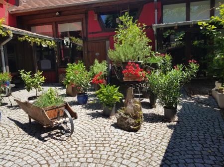 Location de particuliers � particuliers Gite de la cour pav�e, corps de ferme typiquement alsacien G�te Bas Rhin
