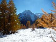 Location de particuliers � particuliers Chalet dans hameau des Ecrins (8/12 personnes) Chalet Hautes alpes photo 12