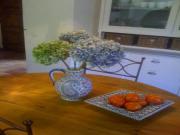 Location de particuliers � particuliers CHAMBRES D'H�TES MOUGINS - LA DOUCE HEURE, pin�de de Pin d'Alep Chambres d'hotes Alpes maritimes photo 4