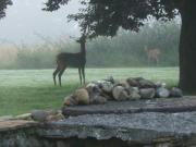 Location de particuliers � particuliers Clos B�arnais 