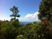 Location de particuliers � particuliers  Tr�s sympathique chalet de vacances Location saisonni�re Martinique photo 10