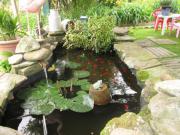 Location de particuliers � particuliers Etxean, village labourdin typique Chambres d'hotes Pyr�n�es Atlantiques photo 8