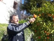 Location de particuliers � particuliers A SAISIR: MAISON NOELIE RDJ 4* 1 A 6 pers.300m RIVIERE.9KMS HRASSE.30mn NICE CANNES ANTIBES.50MN MONACO Location saisonni�re Alpes maritimes photo 8