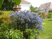 Location de particuliers � particuliers L'�chapp�e verte, 10 minutes � pied centre ville, thermes Location saisonni�re Sa�ne et Loire photo 5
