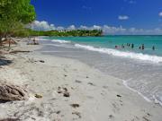 Location de particuliers � particuliers Location saisonni�re, route des H�tels, LE GOSIER Location saisonni�re Guadeloupe photo 10