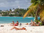 Location de particuliers � particuliers Location saisonni�re, route des H�tels, LE GOSIER Location saisonni�re Guadeloupe photo 11