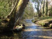 Location de particuliers � particuliers Location meubl� proche Etretat F�camp, pays de Caux Location saisonni�re Seine Maritime photo 12