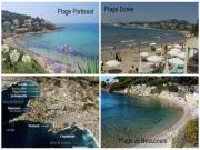Location de particuliers � particuliers T2 - 31 m� en RDC - 27m� Jardin, proche des plages Location saisonni�re Var photo 9