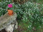 Location de particuliers � particuliers A fleur d'ailes - G�te nature, Val de Loire class� UNESCO G�te Loir et Cher photo 5
