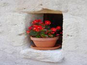 Location de particuliers � particuliers A fleur d'ailes - G�te nature, Val de Loire class� UNESCO G�te Loir et Cher photo 7
