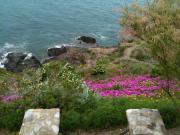 Location de particuliers � particuliers Villa bord de mer Collioure-Port-Vendres Location saisonni�re Pyr�n�es Orientales photo 6