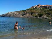 Location de particuliers � particuliers Villa bord de mer Collioure-Port-Vendres Location saisonni�re Pyr�n�es Orientales photo 7