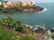 Location de particuliers � particuliers Villa bord de mer Collioure-Port-Vendres Location saisonni�re Pyr�n�es Orientales photo 8