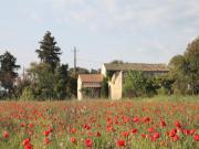 Location de particuliers � particuliers Chambre d'h�tes de Charme en Provence du Haut Vaucluse Chambres d'hotes Vaucluse photo 10