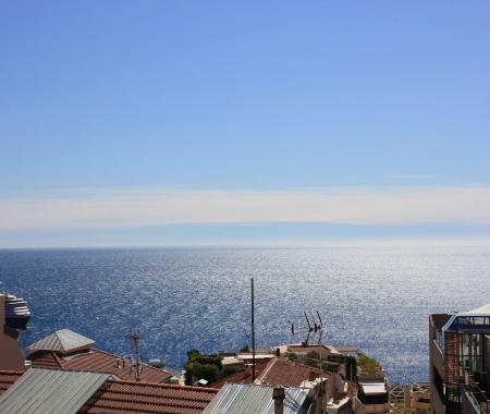 Location de particuliers � particuliers FLORA PALACE, Proximit� des plages, principaut� de Monaco Location saisonni�re Alpes maritimes