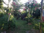 Location de particuliers � particuliers Domaine de la ferme d'Erambere Chambres d'hotes Nouvelle Cal�donie photo 2