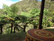 Location de particuliers � particuliers Domaine de la ferme d'Erambere Chambres d'hotes Nouvelle Cal�donie photo 4
